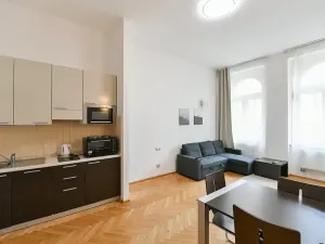 Prodej bytu 2+kk, Praha - Nové Město, Hálkova, 49 m2