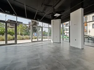 Pronájem restaurace, Praha - Holešovice, V háji, 240 m2