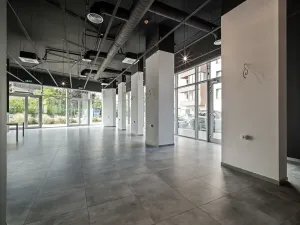 Pronájem restaurace, Praha - Holešovice, V háji, 240 m2
