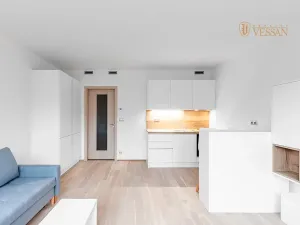 Prodej bytu 1+kk, Praha - Vysočany, Bassova, 34 m2