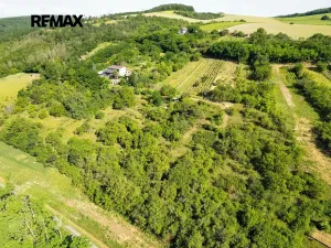 Prodej sadu/vinice, Moravské Bránice, 2403 m2