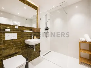 Pronájem bytu 1+kk, Brno, Cejl, 38 m2
