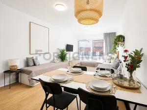 Pronájem bytu 1+kk, Brno, Cejl, 29 m2