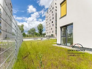Pronájem bytu 2+kk, Praha - Vysočany, Pod Harfou, 38 m2