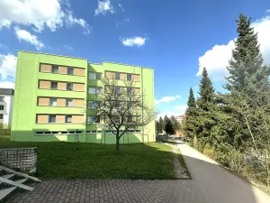 Prodej bytu 3+1, Pelhřimov, Boženy Němcové, 64 m2