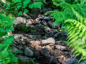 Prodej rodinného domu, Čeladná, 299 m2