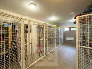 Pronájem bytu 3+kk, Vítkovice, 74 m2