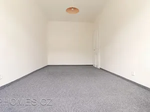 Pronájem bytu 3+1, Praha - Vinohrady, Slezská, 102 m2