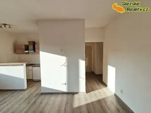 Pronájem bytu 1+kk, Ostrava, Krakovská, 22 m2