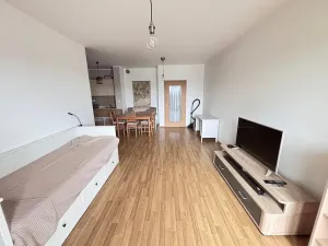 Pronájem bytu 1+kk, Praha - Nusle, V Horkách, 43 m2