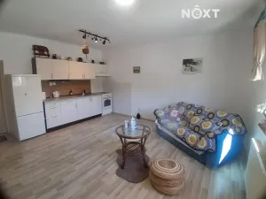 Pronájem bytu 1+kk, Ledenice, 5. května, 48 m2