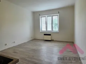 Pronájem bytu 1+kk, Praha - Nusle, Spolupráce, 33 m2