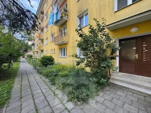 Pronájem bytu 2+1, Olomouc, Dělnická, 55 m2