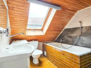 Prodej vícegeneračního domu, Stříbrná Skalice, Pražská, 126 m2
