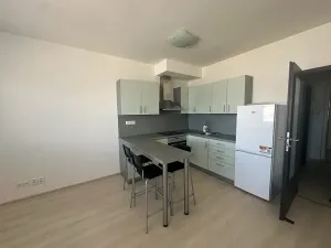 Pronájem bytu 1+kk, Plzeň, Štefánikova, 30 m2