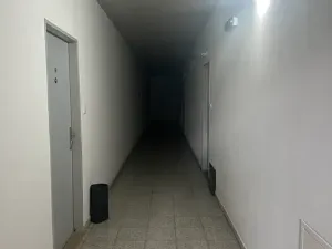 Pronájem bytu 1+kk, Plzeň, Štefánikova, 30 m2