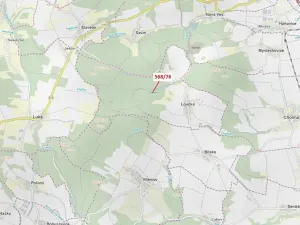Dražba lesa, Loučka, 3720 m2