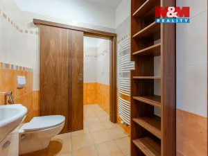 Pronájem bytu 4+kk, Benešov, Vlašimská, 119 m2
