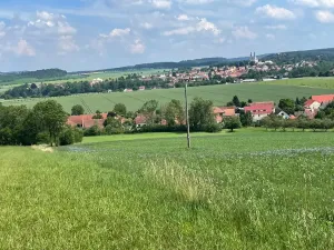 Prodej louky, Luže, 11020 m2