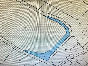 Prodej louky, Luže, 11020 m2