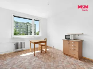 Prodej bytu 1+1, Děčín - Děčín III-Staré Město, Oblouková, 36 m2