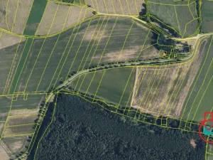 Prodej lesa, Zábřeh, 1123 m2