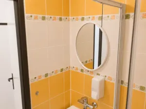 Pronájem bytu 2+1, Ostrava - Hrabůvka, Letecká, 50 m2