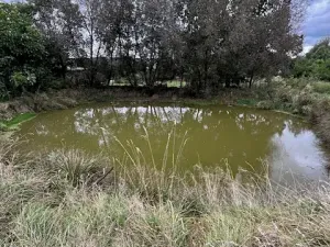 Prodej zemědělské usedlosti, Štědrá, 1787 m2
