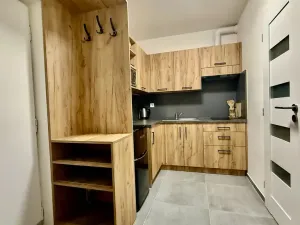 Pronájem bytu 2+kk, Ostrava - Zábřeh, Volgogradská, 34 m2