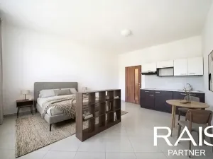 Prodej bytu 1+kk, Brno, Dukelská třída, 29 m2