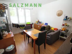 Pronájem bytu 1+1, Dýšina, K Chlumu, 42 m2