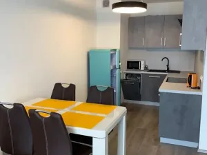 Pronájem bytu 2+kk, Praha - Karlín, Nekvasilova, 67 m2