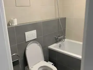 Pronájem bytu 2+kk, Praha - Karlín, Nekvasilova, 67 m2