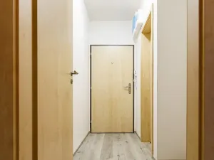 Pronájem bytu 1+kk, Olomouc, Eduarda Hamburgera, 26 m2