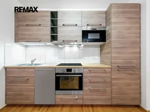 Pronájem bytu 1+kk, Praha - Žižkov, Ke kapslovně, 53 m2