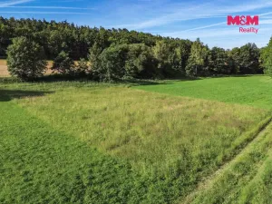 Pronájem louky, Plzeň - Koterov, 3297 m2