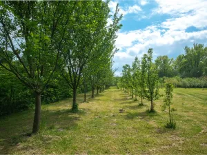 Prodej pozemku, Vyšní Lhoty, 14636 m2