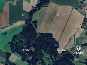 Prodej podílu lesa, Vyklantice, 1356 m2