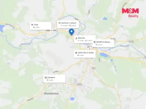 Pronájem výrobních prostor, Žamberk, Čs. armády, 244 m2
