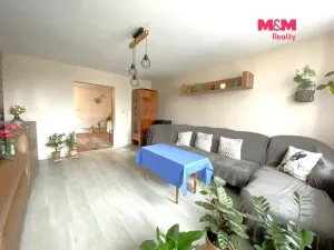 Prodej rodinného domu, Velká Losenice, 100 m2