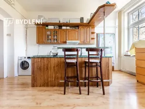 Pronájem bytu 3+kk, Ústí nad Labem, Elišky Krásnohorské, 74 m2