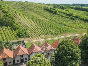Prodej vinného sklepa, Čejkovice, 84 m2