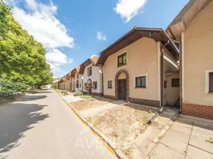 Prodej vinného sklepa, Čejkovice, 84 m2
