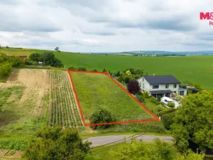 Prodej pozemku pro bydlení, Borkovany, 1359 m2