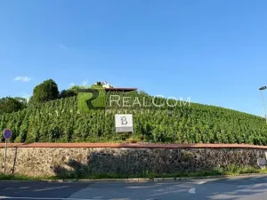 Prodej bytu 3+1, Praha - Troja, Trojská, 88 m2