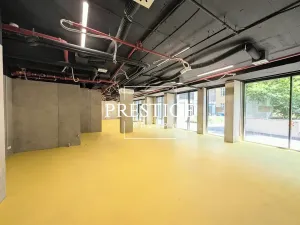 Pronájem obchodního prostoru, Praha - Karlín, Sokolovská, 210 m2