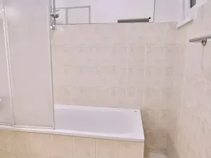 Pronájem bytu 1+1, Brno, Rybníček, 54 m2