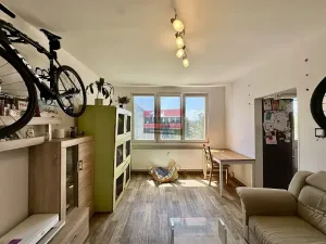 Prodej bytu 2+1, České Budějovice, Mánesova, 52 m2
