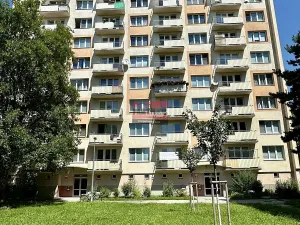 Prodej bytu 2+1, České Budějovice, Mánesova, 52 m2