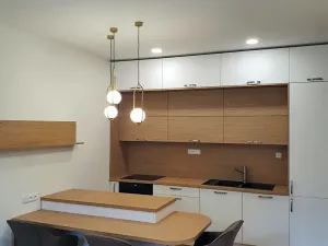 Pronájem bytu 2+kk, Praha - Žižkov, Sudoměřská, 66 m2